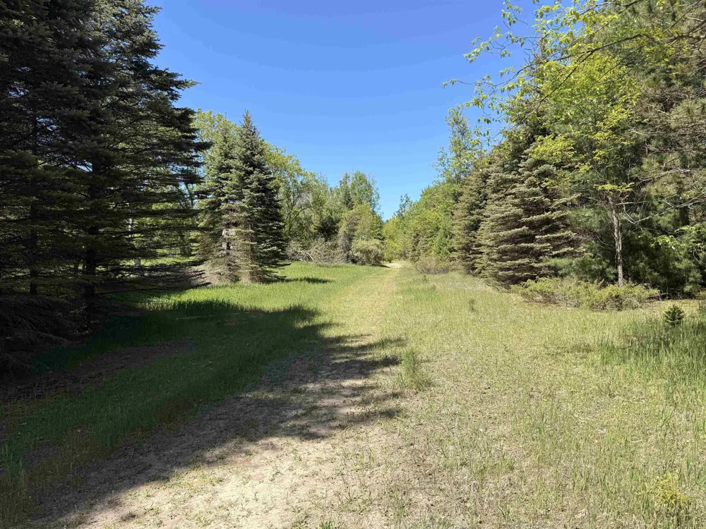 S Lime Lake Road Cleveland Township, MI 49621