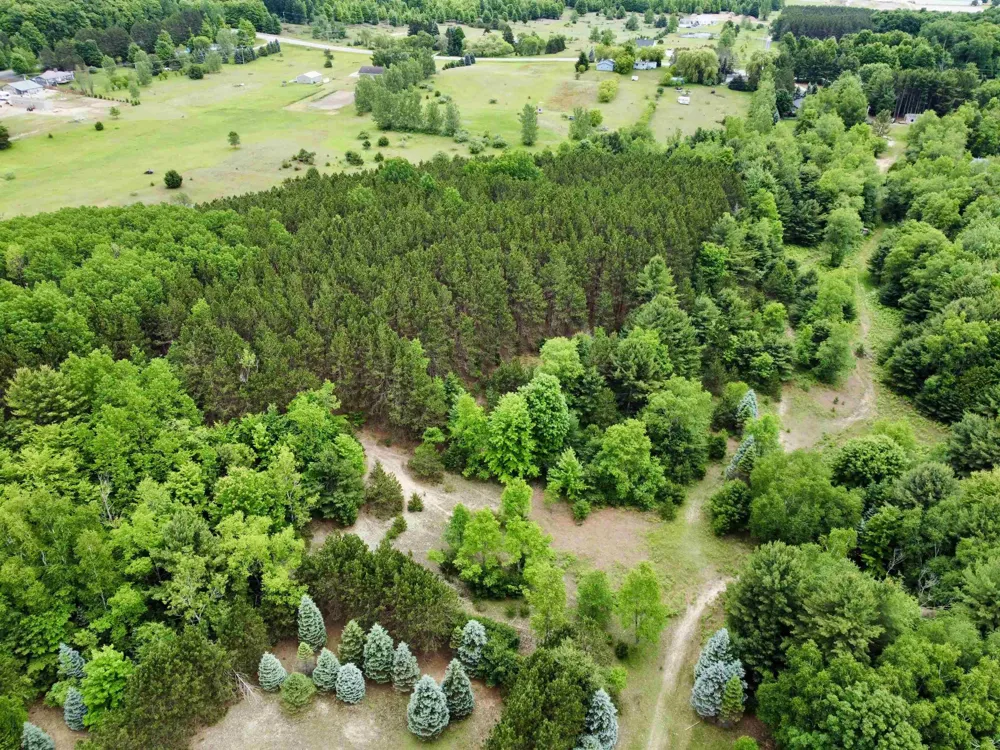 S Lime Lake Road Cleveland Township, MI 49621