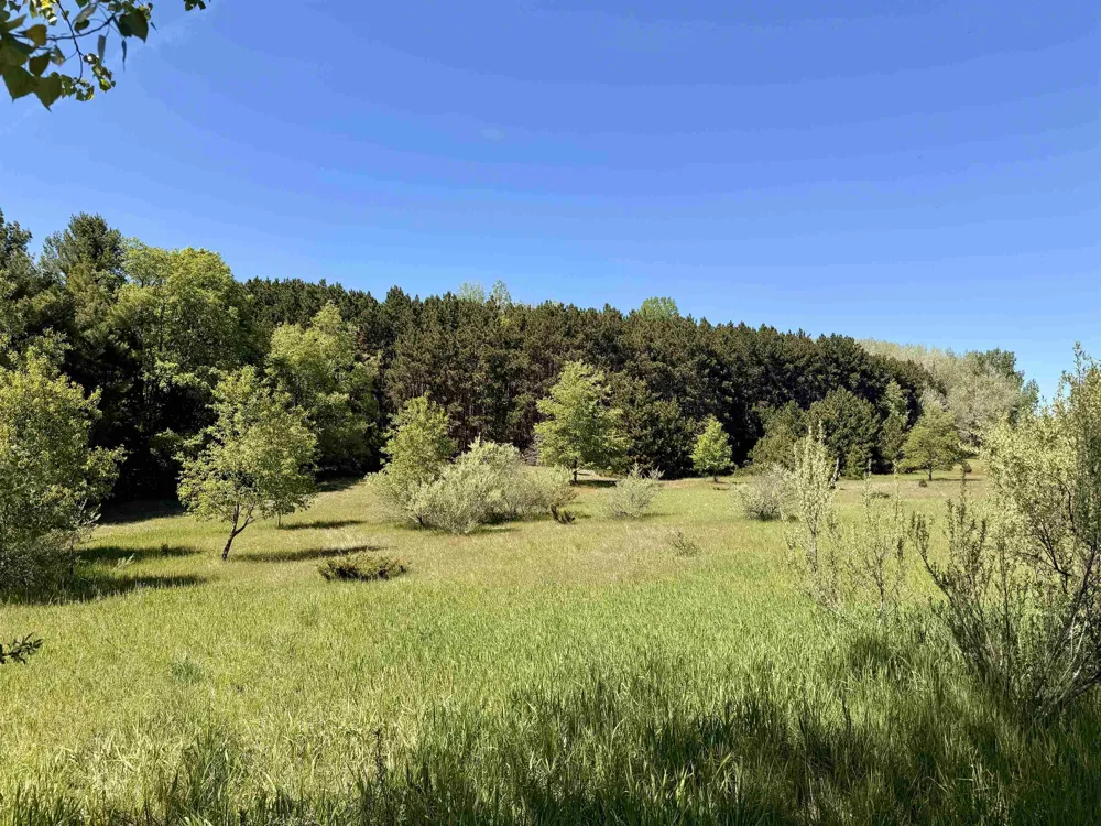 S Lime Lake Road Cleveland Township, MI 49621