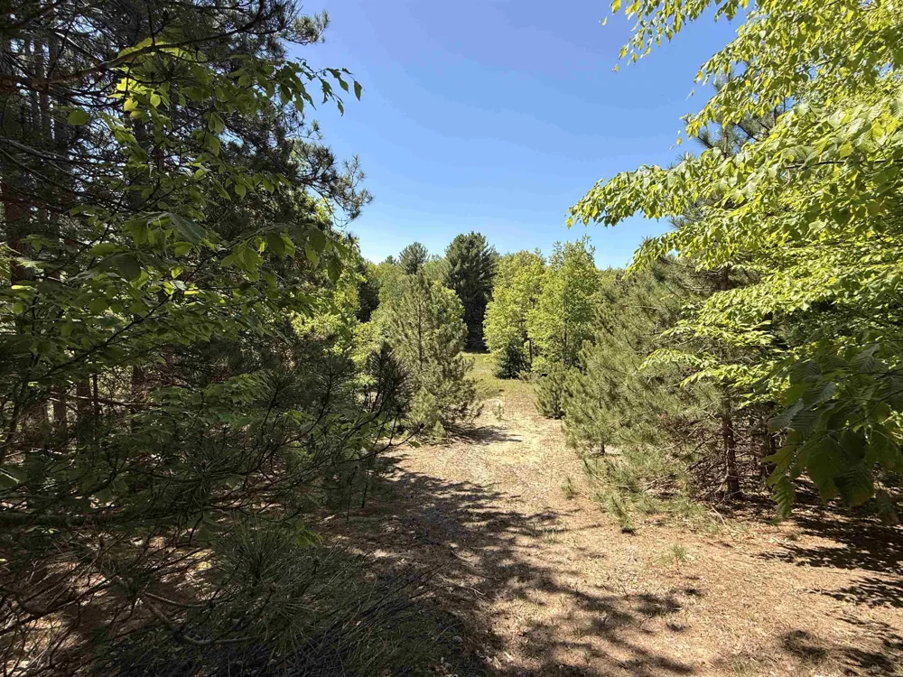S Lime Lake Road Cleveland Township, MI 49621