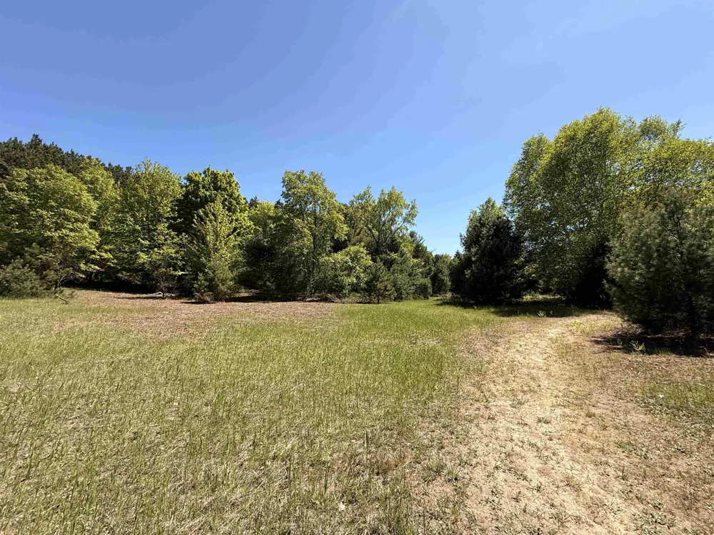 S Lime Lake Road Cleveland Township, MI 49621