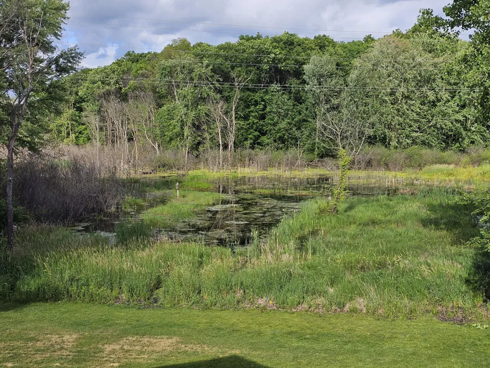 6945 Hunters Creek Comstock Charter Township, MI 49048