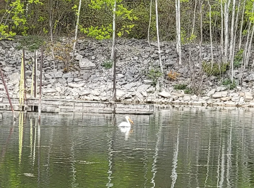 Charity Island Whitney Township, MI 48703