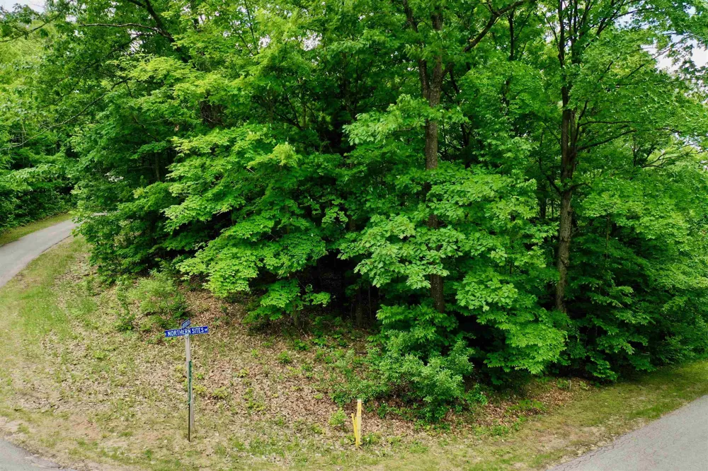 E Northern Sites Drive Elmwood Charter Township, MI 49684