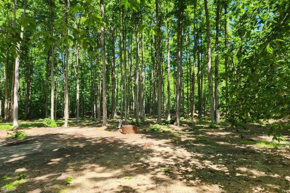 9955 Greenway Drive Maple Forest Township, MI 49733