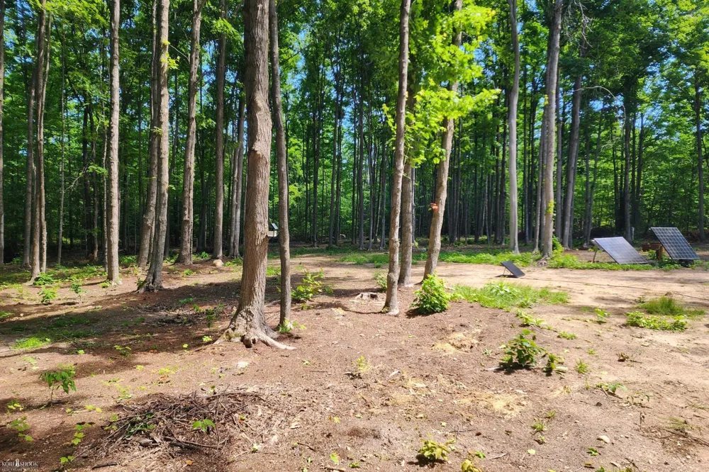 9955 Greenway Drive Maple Forest Township, MI 49733