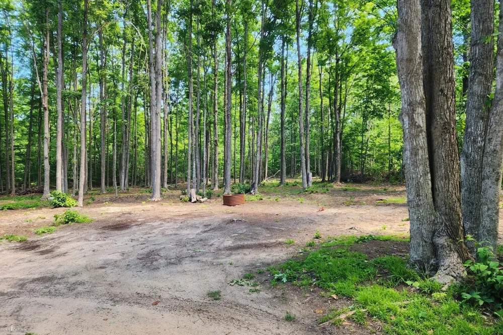 9955 Greenway Drive Maple Forest Township, MI 49733