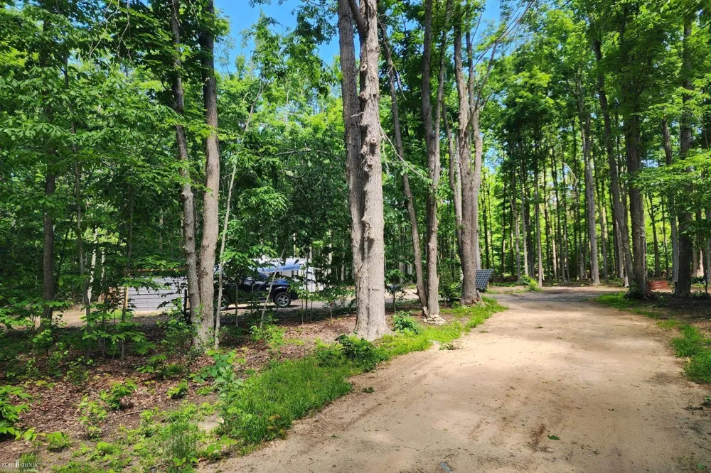 9955 Greenway Drive Maple Forest Township, MI 49733