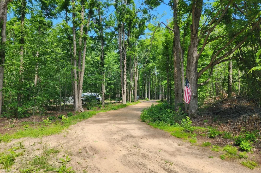 9955 Greenway Drive Maple Forest Township, MI 49733