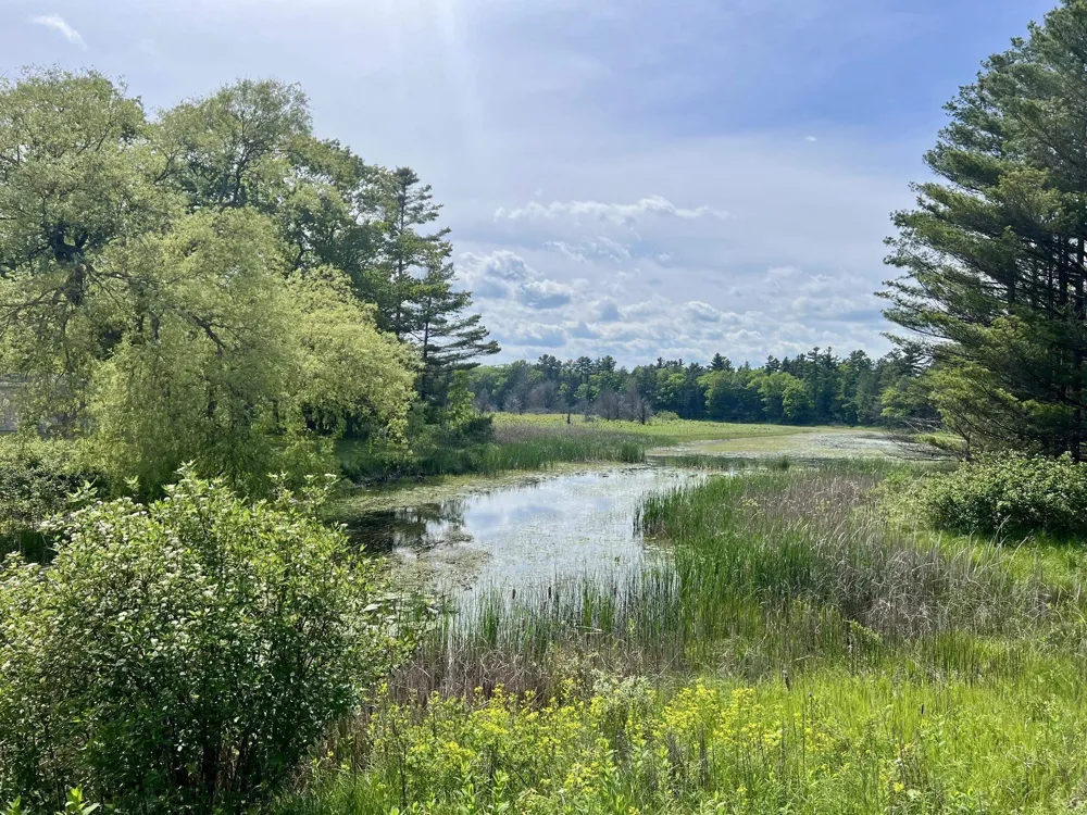 3325 US-23 N Oscoda Charter Township, MI 48750