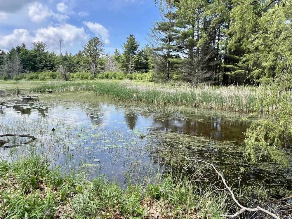 3325 US-23 N Oscoda Charter Township, MI 48750