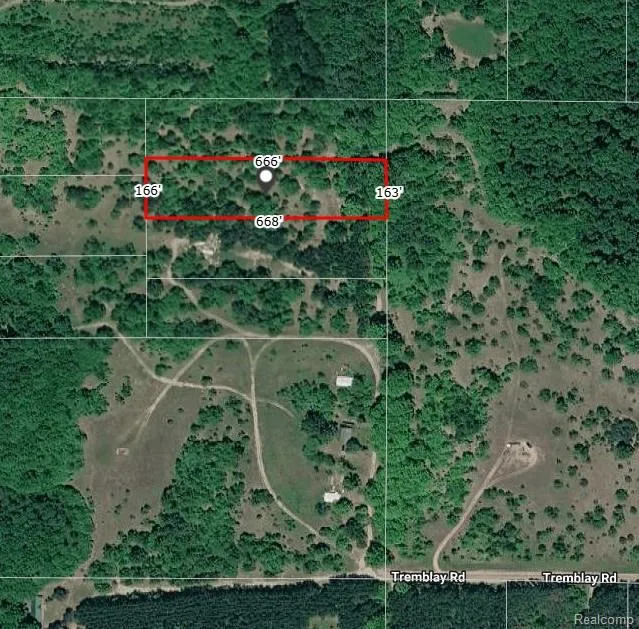 Tremblay Road Custer Township, MI 49659