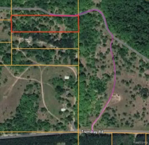 Tremblay Road Custer Township, MI 49659