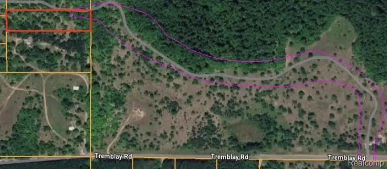 Tremblay Road Custer Township, MI 49659