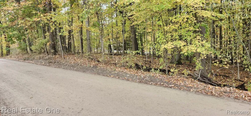 Curtis Rd Oxford Charter Township, MI 48367
