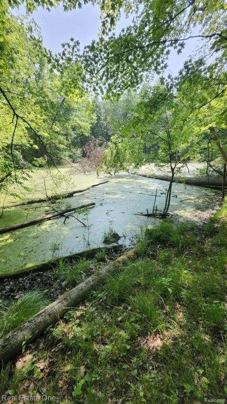 Curtis Rd Oxford Charter Township, MI 48367