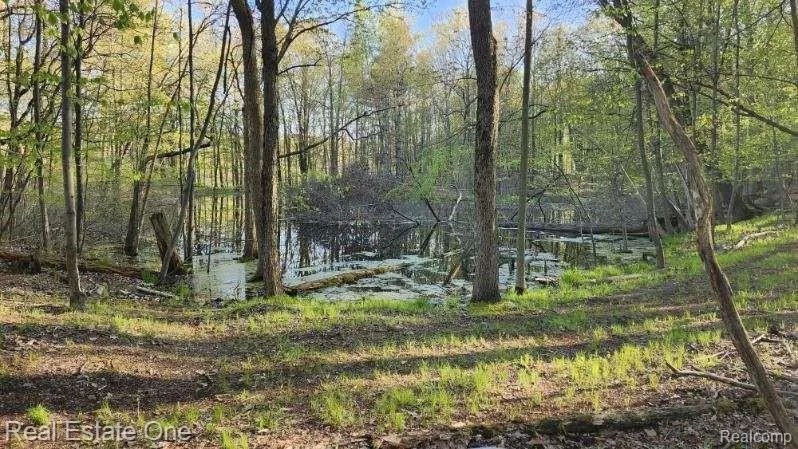 Curtis Rd Oxford Charter Township, MI 48367