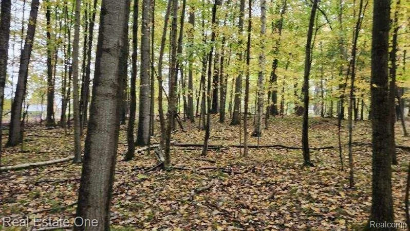 Curtis Rd Oxford Charter Township, MI 48367