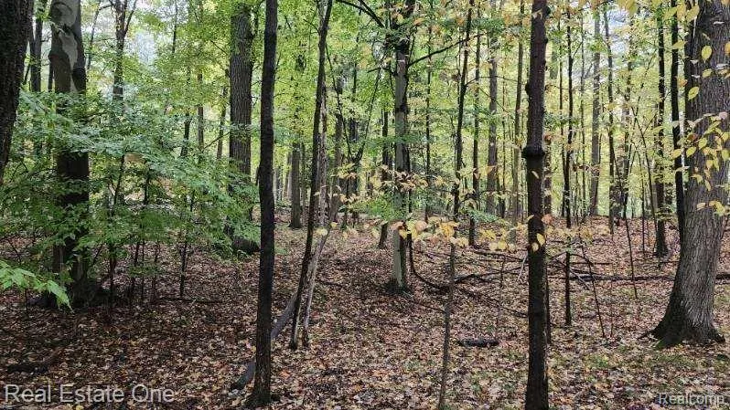 Curtis Rd Oxford Charter Township, MI 48367