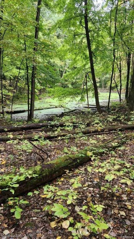 Curtis Rd Oxford Charter Township, MI 48367