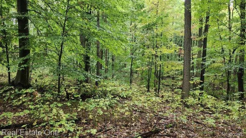 Curtis Rd Oxford Charter Township, MI 48367