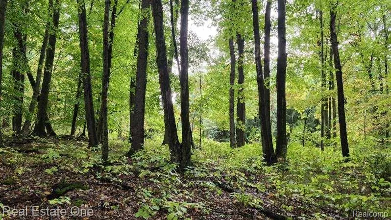 Curtis Rd Oxford Charter Township, MI 48367