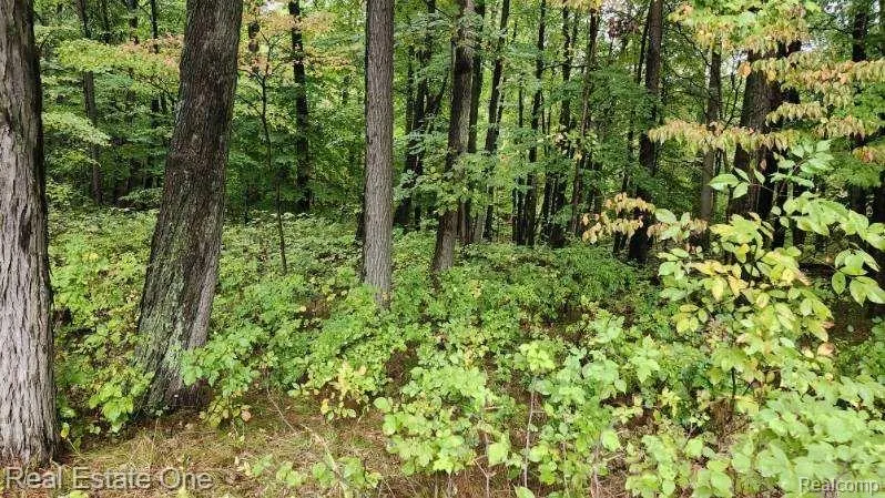 Curtis Rd Oxford Charter Township, MI 48367