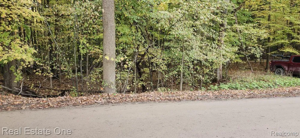 Curtis Rd Oxford Charter Township, MI 48367