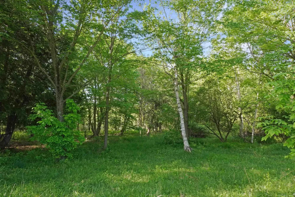 1385 Blacks Corners Road Goodland Township, MI 48444