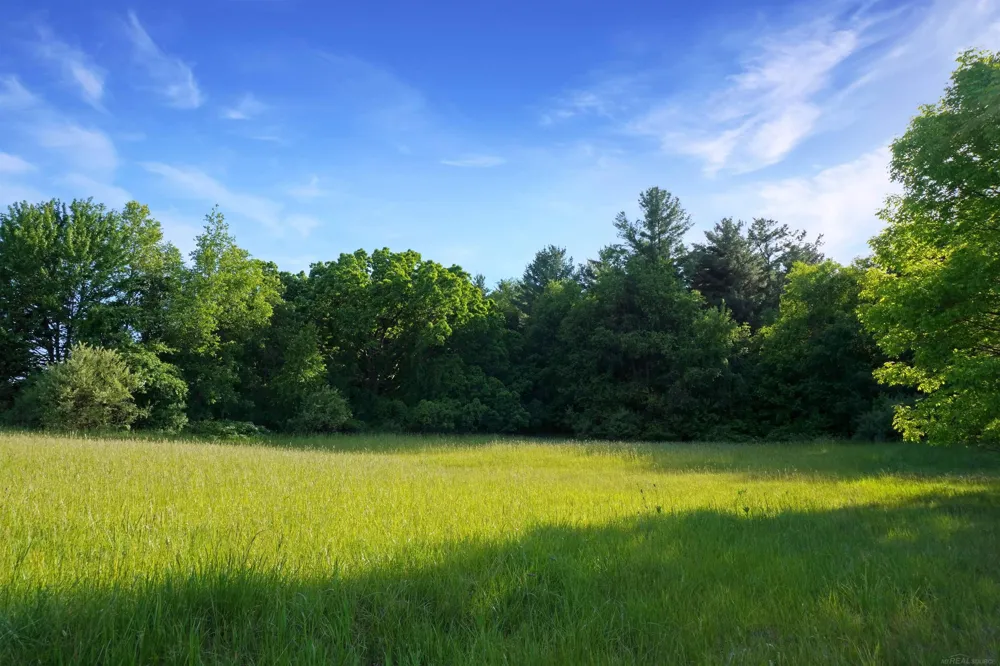 1385 Blacks Corners Road Goodland Township, MI 48444
