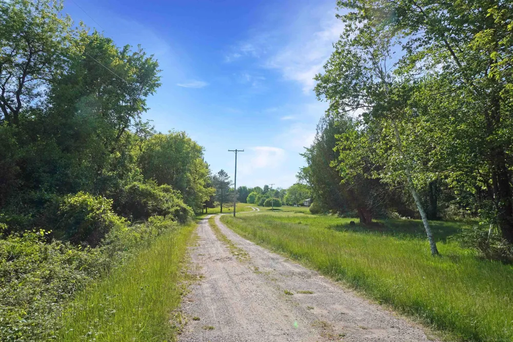 1385 Blacks Corners Road Goodland Township, MI 48444