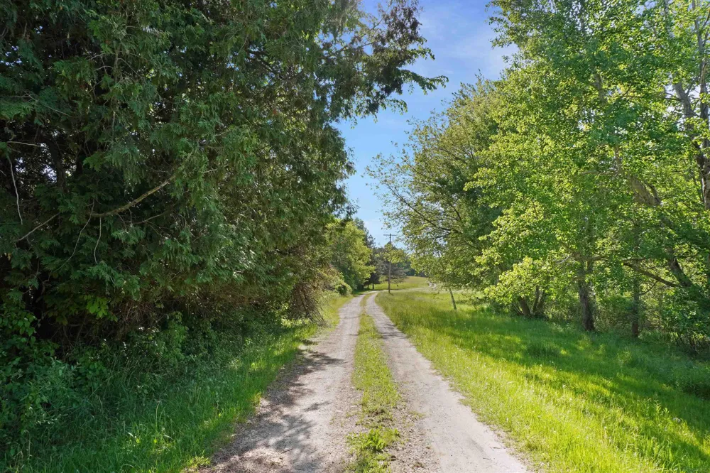 1385 Blacks Corners Road Goodland Township, MI 48444