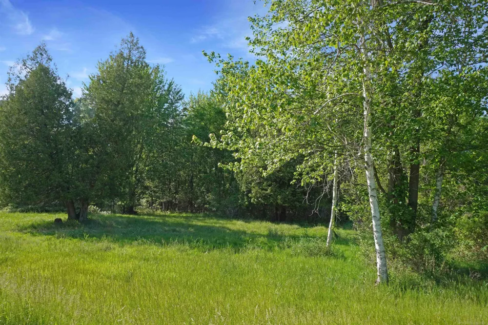 1385 Blacks Corners Road Goodland Township, MI 48444
