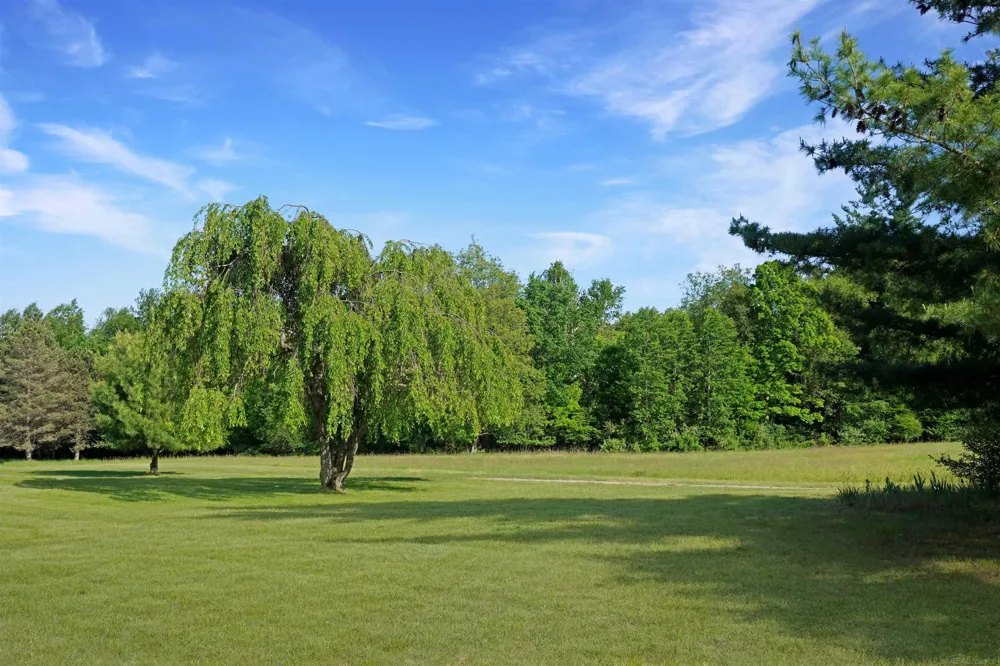 1385 Blacks Corners Road Goodland Township, MI 48444