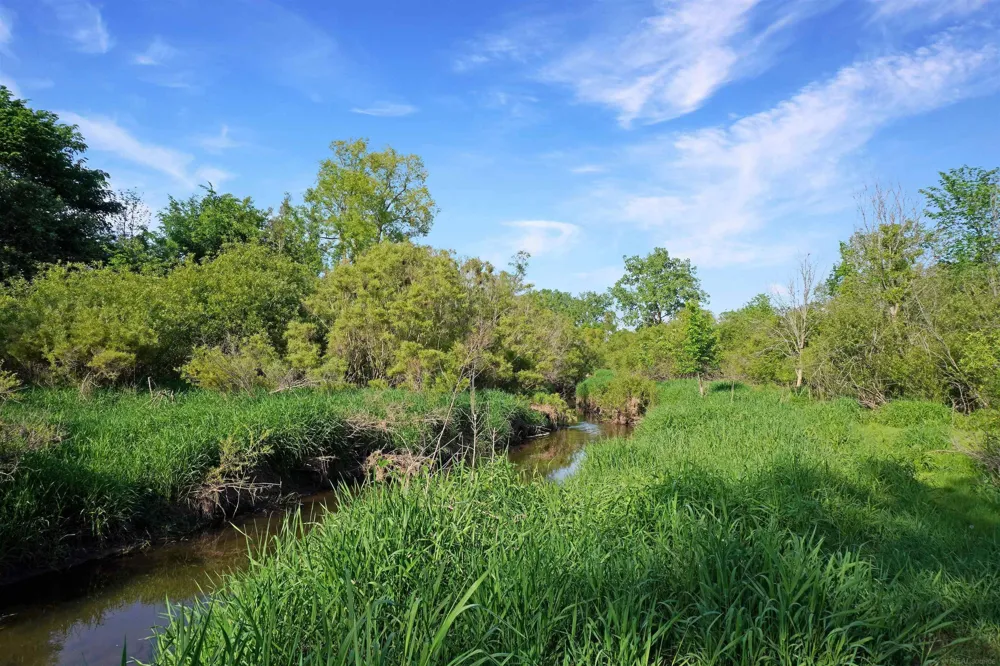 1385 Blacks Corners Road Goodland Township, MI 48444
