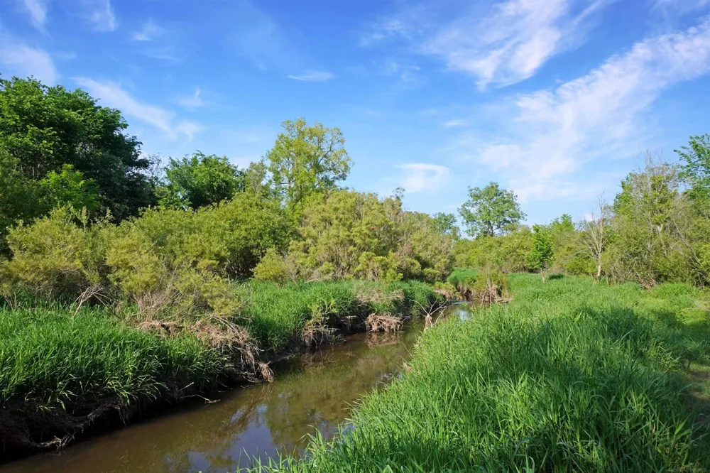 1385 Blacks Corners Road Goodland Township, MI 48444