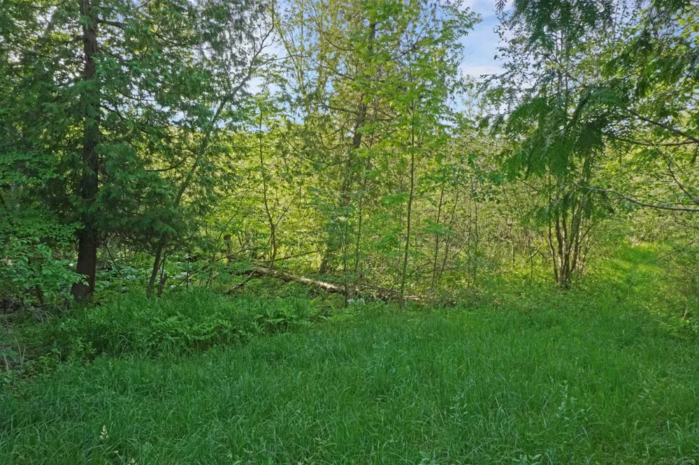1385 Blacks Corners Road Goodland Township, MI 48444