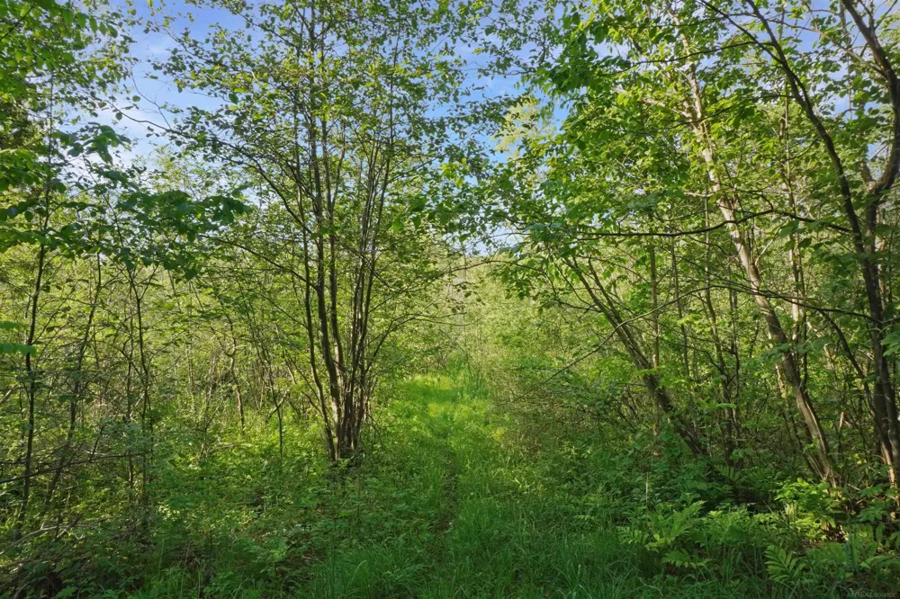 1385 Blacks Corners Road Goodland Township, MI 48444