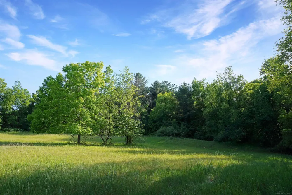 1385 Blacks Corners Road Goodland Township, MI 48444