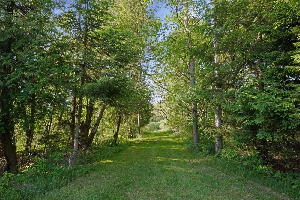 1385 Blacks Corners Road Goodland Township, MI 48444