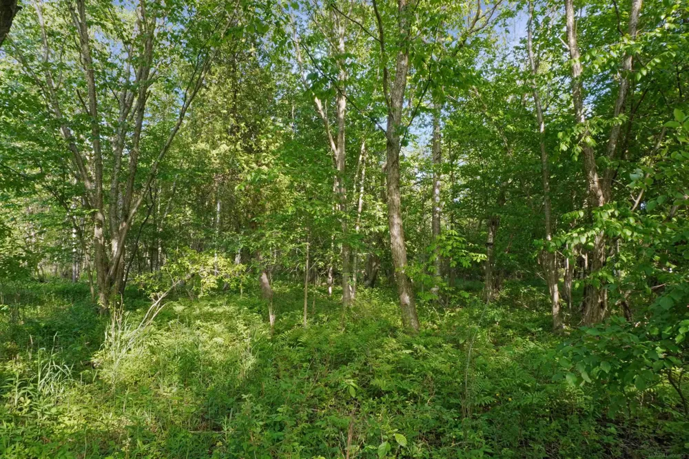 1385 Blacks Corners Road Goodland Township, MI 48444