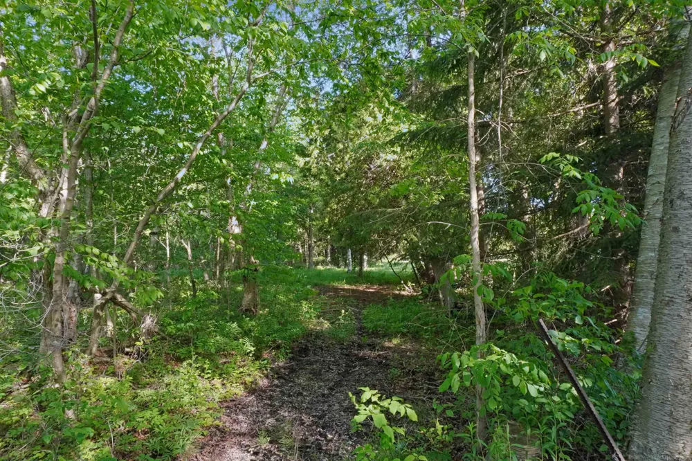 1385 Blacks Corners Road Goodland Township, MI 48444