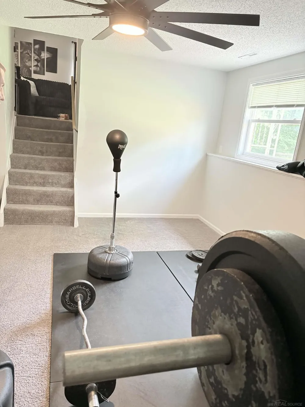 8181 Bray Road Arbela Township, MI 79003