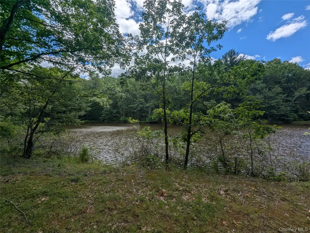 Hide Away Lane Wurtsboro, NY 12790