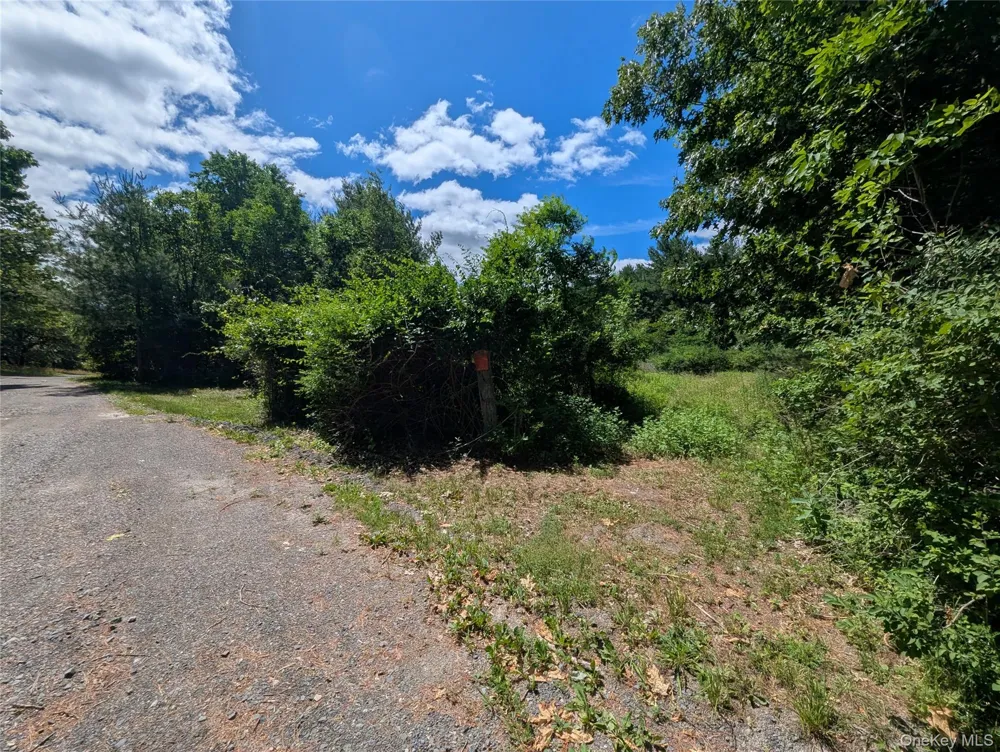 Hide Away Lane Wurtsboro, NY 12790