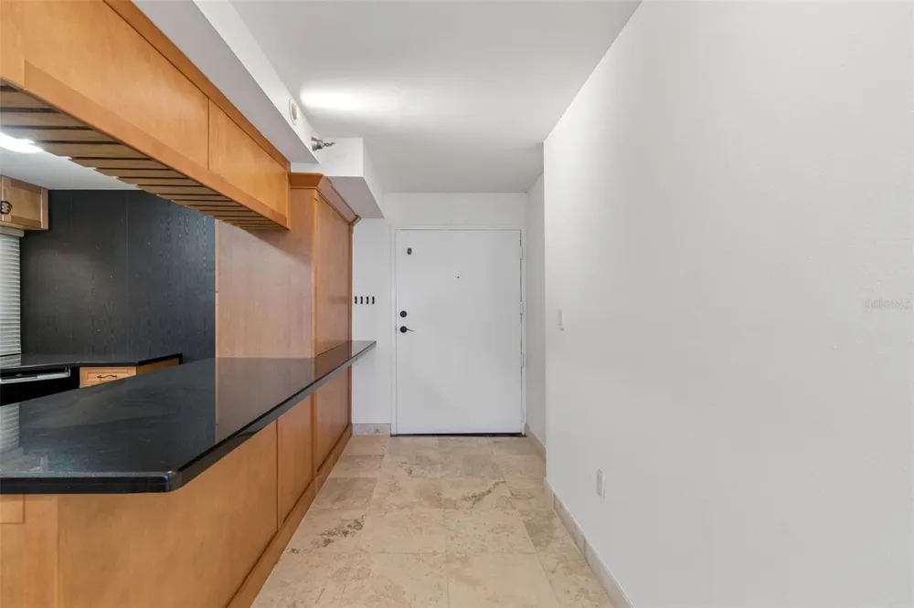 2413 BAYSHORE BOULEVARD #1904 Tampa, FL 33629