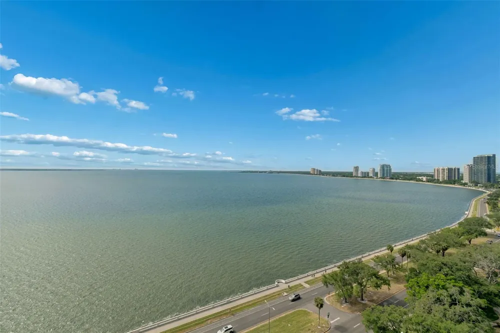 2413 BAYSHORE BOULEVARD #1904 Tampa, FL 33629