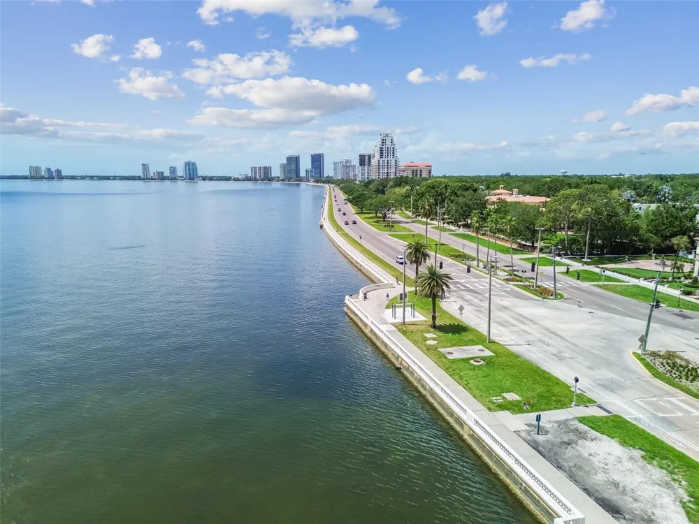 2413 BAYSHORE BOULEVARD #1904 Tampa, FL 33629