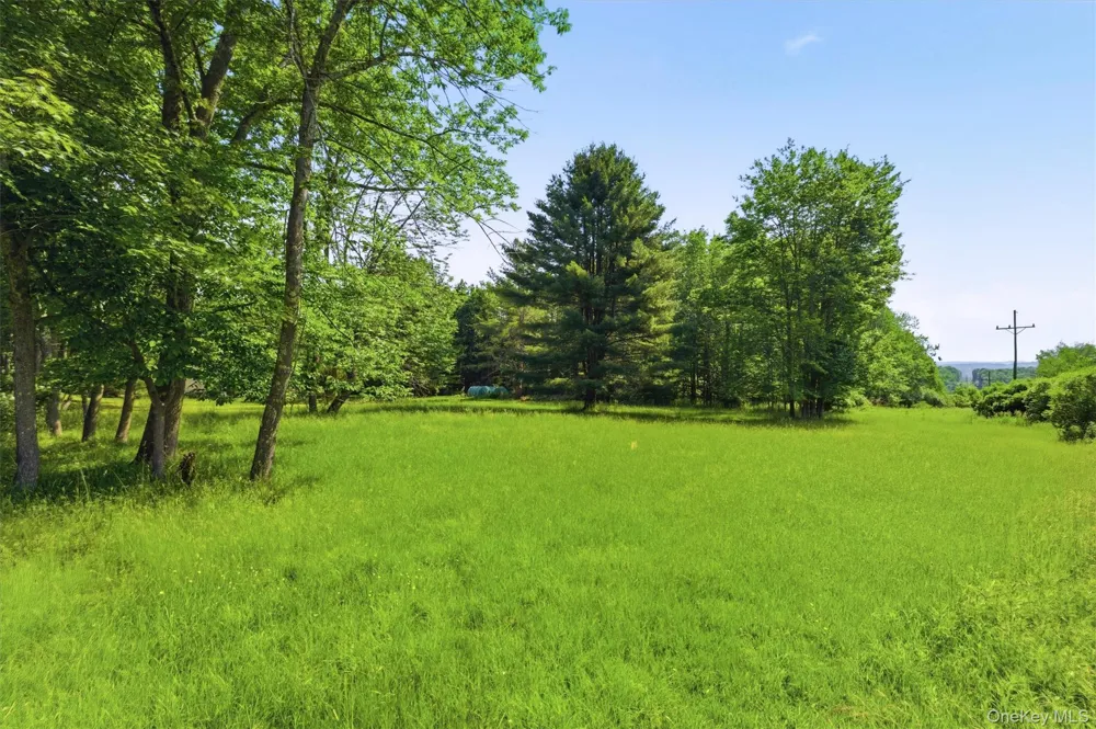 TBD Britman Road Bethel, NY 12720