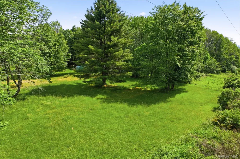 TBD Britman Road Bethel, NY 12720